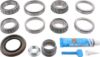 Picture of Spicer Differential Rebuild Kit - 10040468