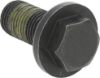Picture of Spicer Differential Ring Gear Bolt Kit - 10040474