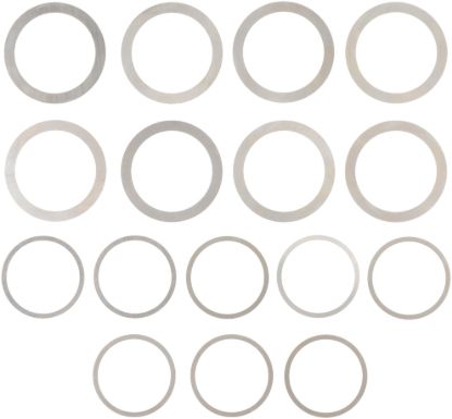 Picture of Spicer Differential Carrier Bearing Shim - 10040476