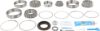 Picture of Spicer Differential Rebuild Kit - 10043635