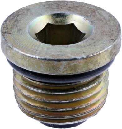 Picture of Spicer Differential Drain Plug - 10045641
