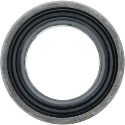 Picture of Spicer Drive Axle Shaft Seal - 10050942