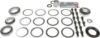 Picture of Spicer Differential Bearing Kit - 10055877
