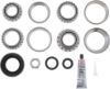 Picture of Spicer Differential Rebuild Kit - 10055883