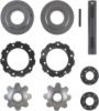 Picture of Spicer Differential Carrier Gear Kit - 10063481