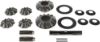 Picture of Spicer Differential Side Gear - 10063923