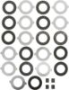 Picture of Spicer Differential Disc Kit - 10071924
