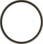 Picture of Spicer Steering Knuckle Seal - 101HH101
