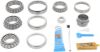 Picture of Spicer Differential Rebuild Kit - 10267427