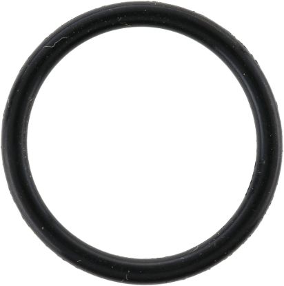 Picture of Spicer Multi-Purpose O-Ring - 113140