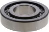 Picture of Spicer Differential Pilot Bearing - 120080