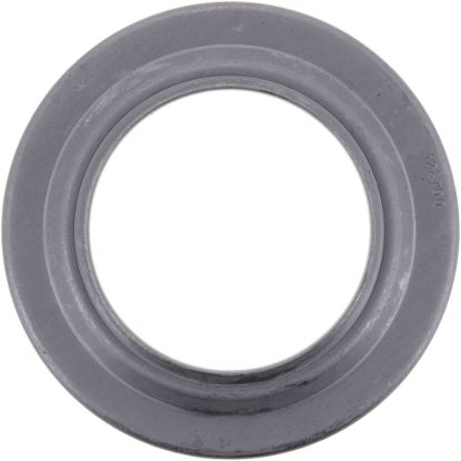 Picture of Spicer Differential Oil Pump - 128700