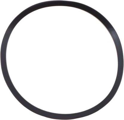 Picture of Spicer Differential Pinion Seal - 128703