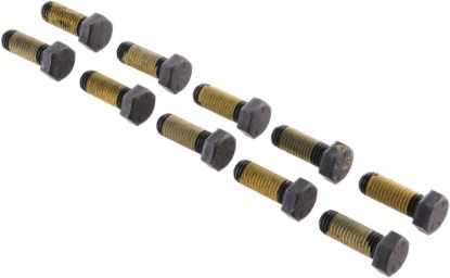 Picture of Spicer Differential Carrier Bolt - 130187
