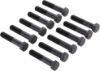Picture of Spicer Differential Bolt - 130596