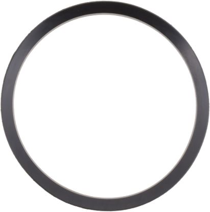 Picture of Spicer Differential Pinion Seal - 131333