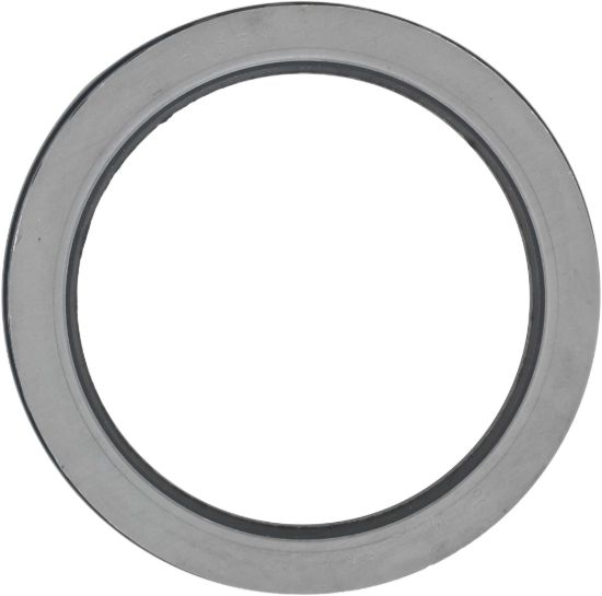 Picture of Spicer Oil Seal - 134861