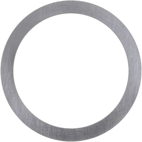 Picture of Spicer Differential Carrier Bearing Shim - 2007452-113