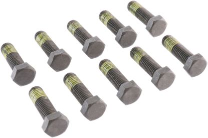 Picture of Spicer Differential Bolt - 210135