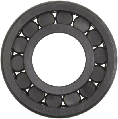 Picture of Spicer Differential Bearing - 210353