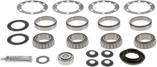 Picture of Spicer Axle Differential Bearing and Seal Kit - 211218