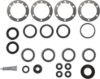 Picture of Spicer Axle Differential Bearing and Seal Kit - 211218