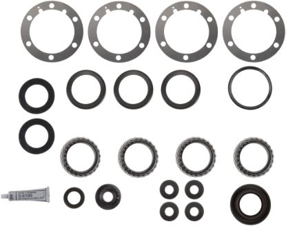 Picture of Spicer Axle Differential Bearing and Seal Kit - 211218