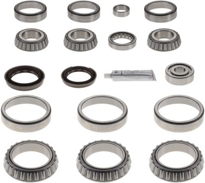 Picture of Spicer Axle Differential Bearing and Seal Kit - 211222
