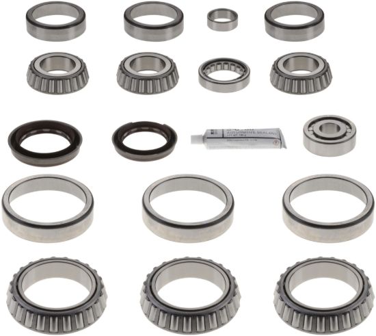 Picture of Spicer Axle Differential Bearing and Seal Kit - 211222