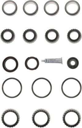 Picture of Spicer Axle Differential Bearing and Seal Kit - 211222