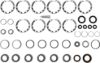 Picture of Spicer Axle Differential Bearing and Seal Kit - 216220-1