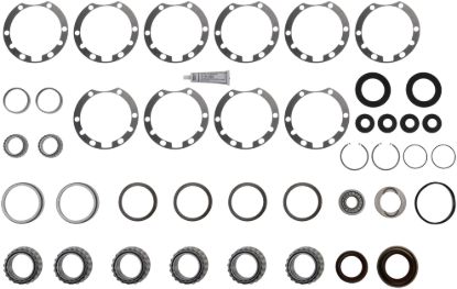 Picture of Spicer Axle Differential Bearing and Seal Kit - 216220-1