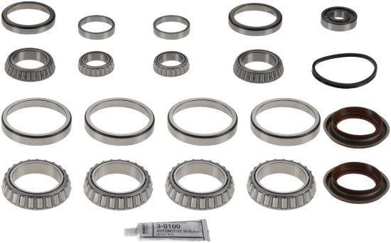 Picture of Spicer Axle Differential Bearing and Seal Kit - 216234-1