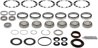 Picture of Spicer Axle Differential Bearing and Seal Kit - 217463-1