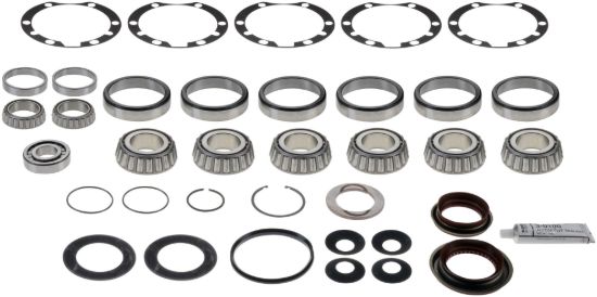 Picture of Spicer Axle Differential Bearing and Seal Kit - 217463-1