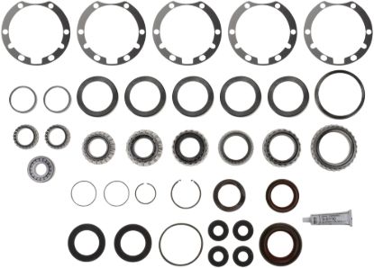 Picture of Spicer Axle Differential Bearing and Seal Kit - 217463-1