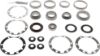 Picture of Spicer Axle Differential Bearing and Seal Kit - 217464-1