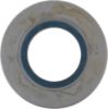 Picture of Spicer Steering Knuckle Seal - 220HC101