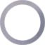 Picture of Spicer Differential Carrier Bearing Shim - 30214-1