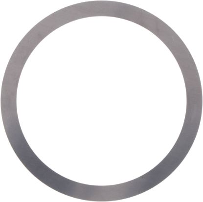 Picture of Spicer Differential Carrier Bearing Shim - 31402-1