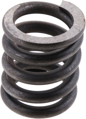 Picture of Spicer Steering King Pin Bushing Spring - 37300