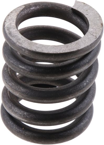 Picture of Spicer Steering King Pin Bushing Spring - 37300
