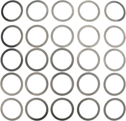 Picture of Spicer Differential Carrier Bearing Shim - 40095-1