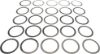 Picture of Spicer Differential Carrier Bearing Shim - 40095-1