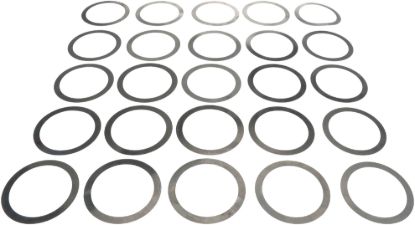 Picture of Spicer Differential Carrier Bearing Shim - 40095-1