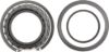 Picture of Spicer Differential Bearing - 401HC101