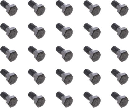 Picture of Spicer Differential Ring Gear Bolt - 40638