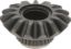 Picture of Spicer Differential Side Gear - 41633