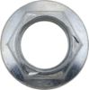 Picture of Spicer Differential Drive Pinion Gear Nut - 44189