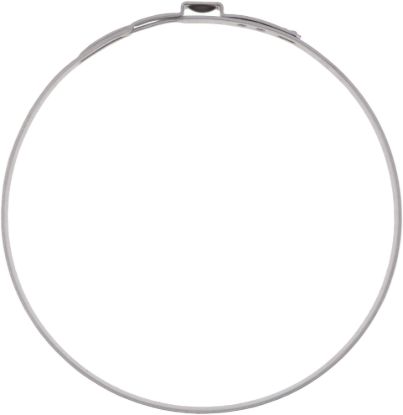Picture of Spicer Axle Boot Clamp - 5004165-10